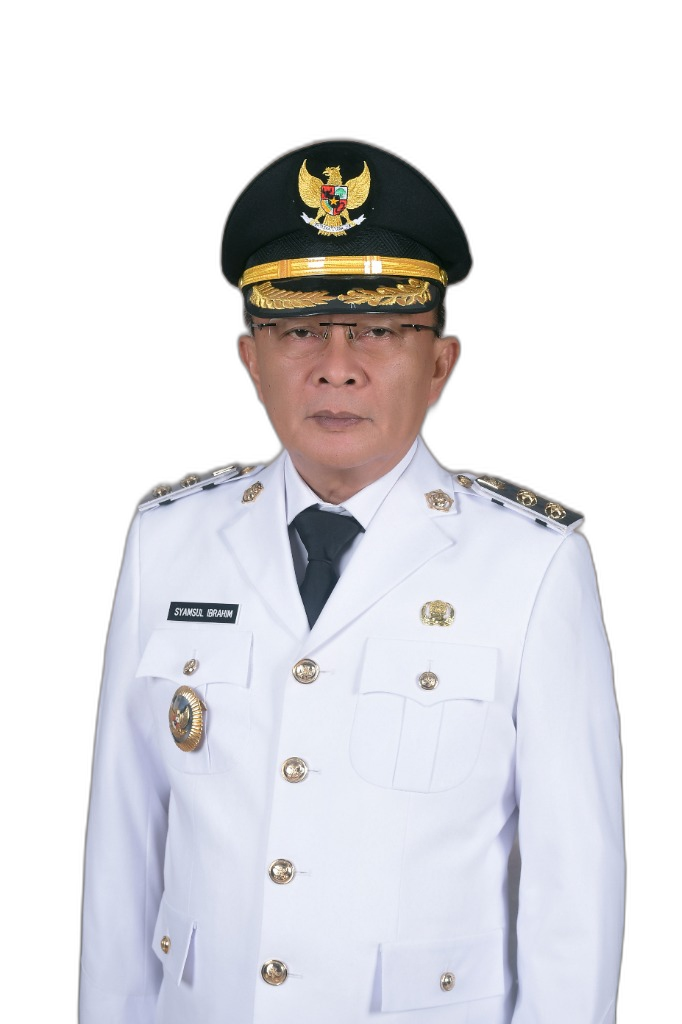 Syamsul Ibrahim - Wakil Bupati Konawe
